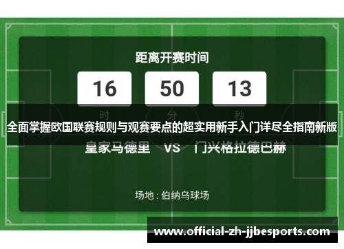 全面掌握欧国联赛规则与观赛要点的超实用新手入门详尽全指南新版