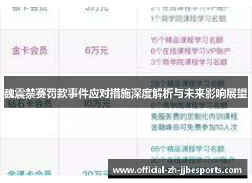 魏震禁赛罚款事件应对措施深度解析与未来影响展望